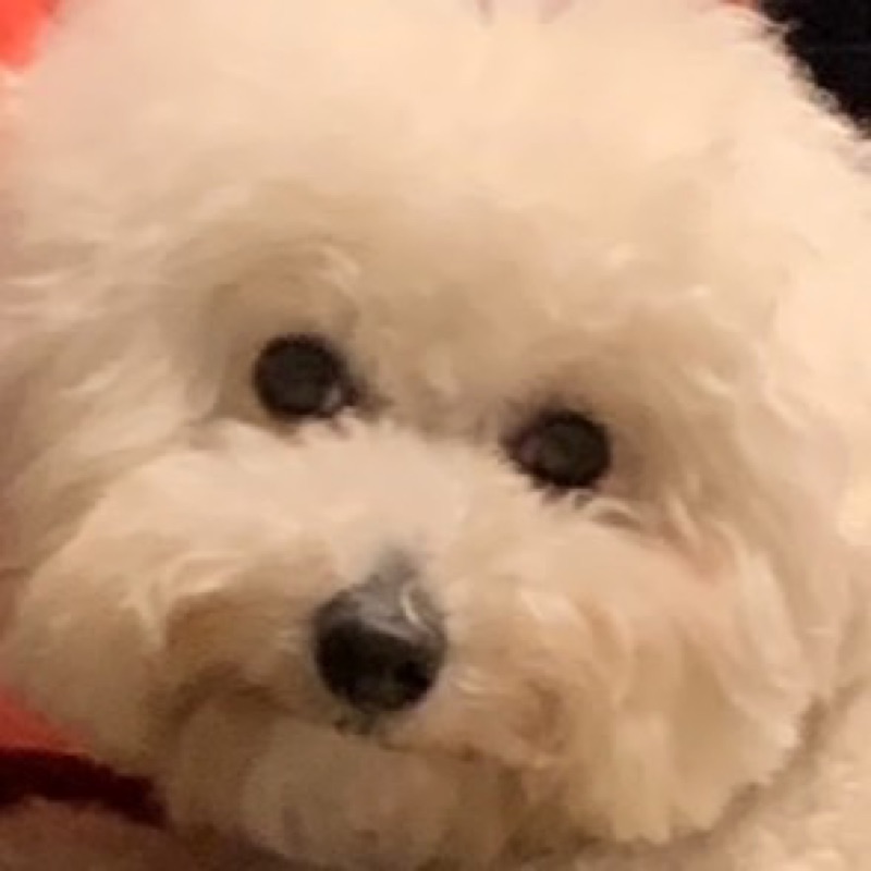 松原亜由実(まつばらあゆみ)