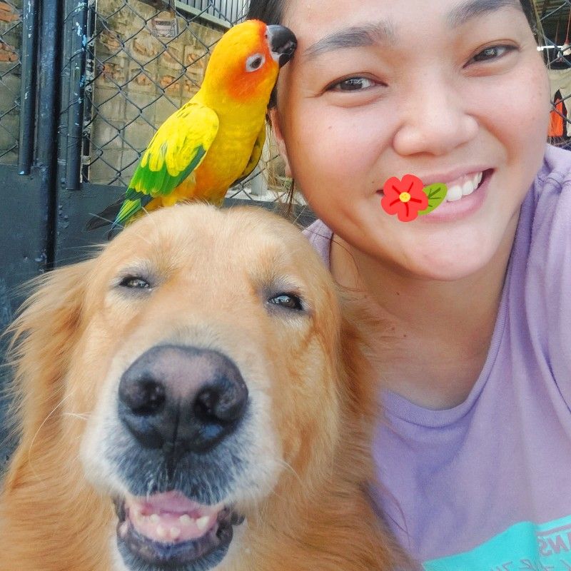 ดวง