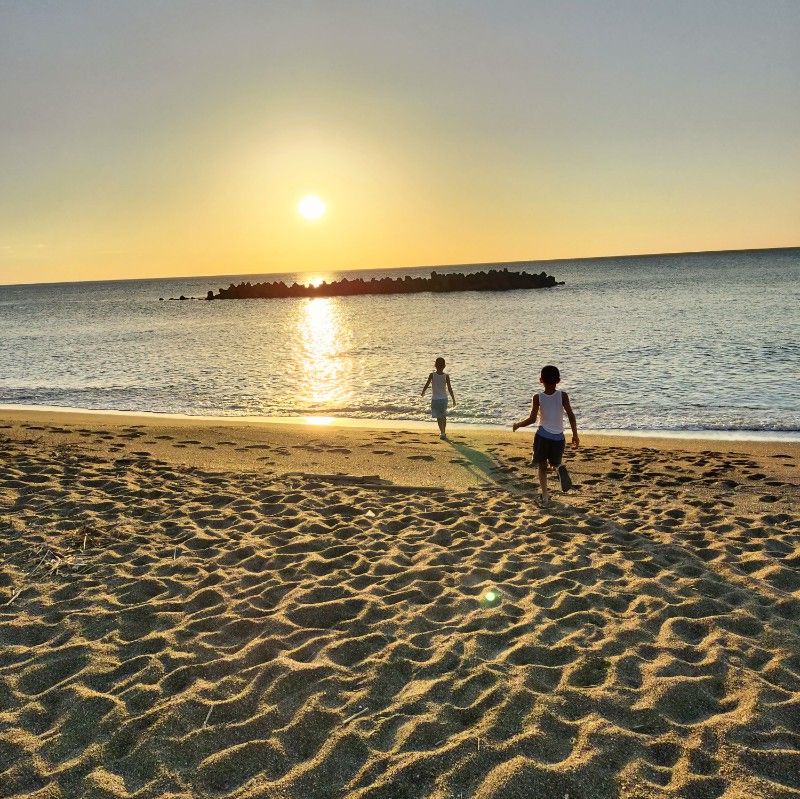 マリーは縦に。