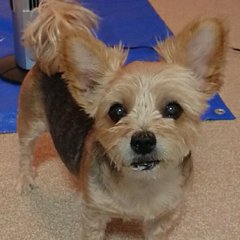 MIHO（yamachanmama）