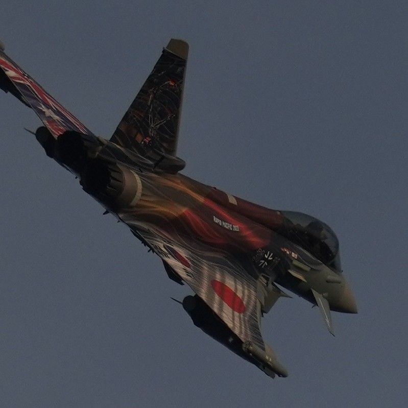 みずも@(*´ω｀*)