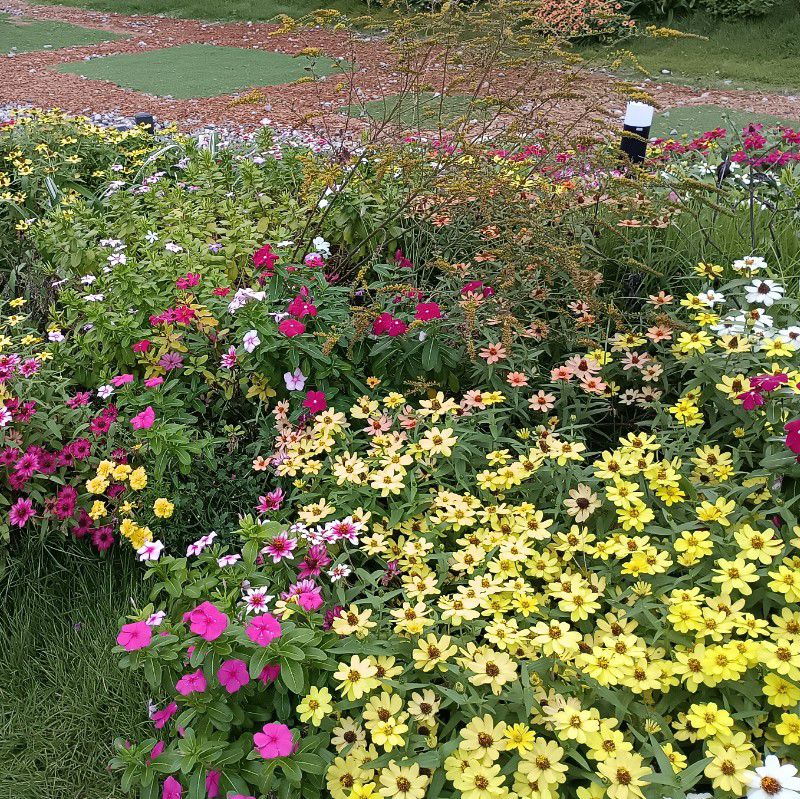 きじま　あきこ