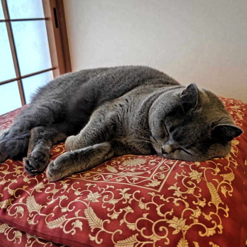 ☆ﾟ+. chie ﾟ+.☆ 