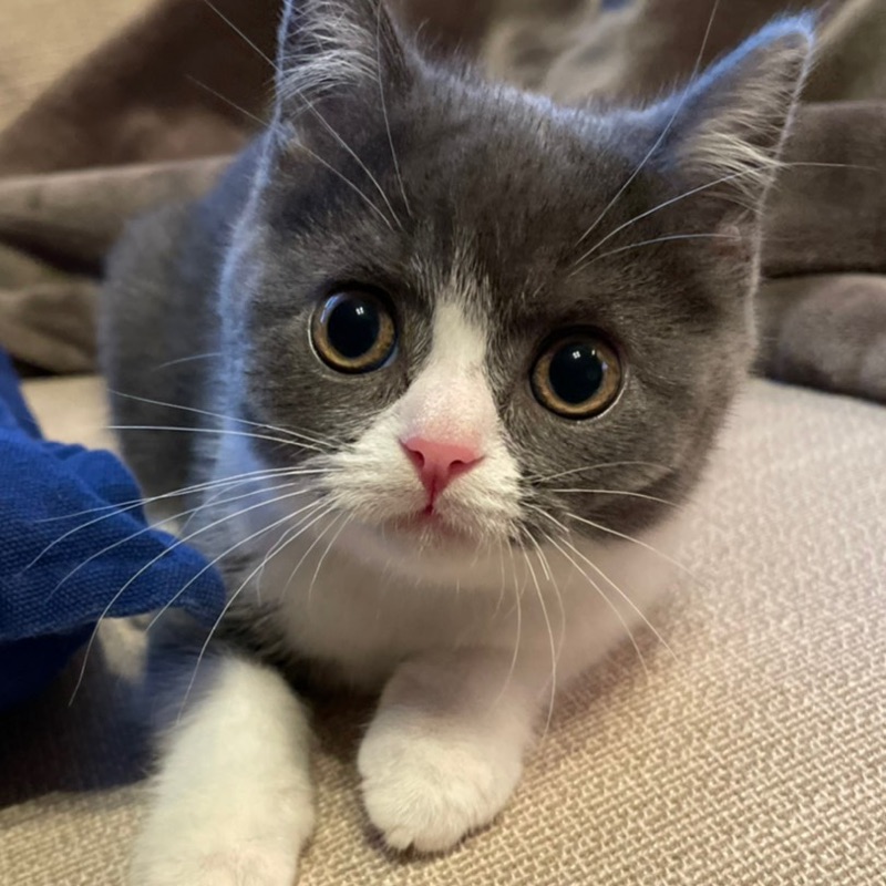 中田　久 ・清美