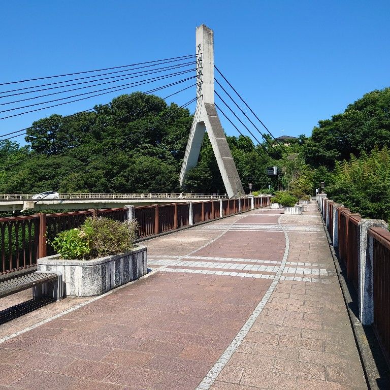 たちざき かける