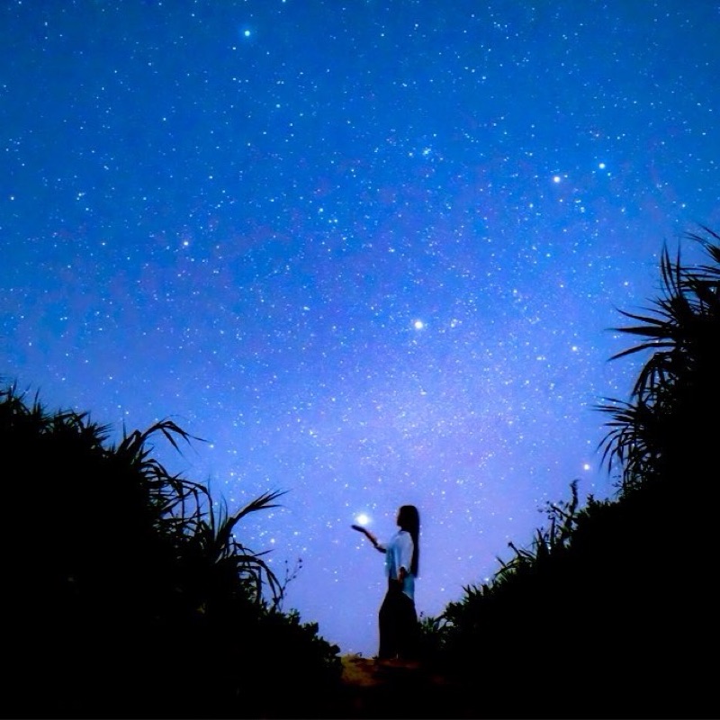 🚀西村 真由美(秦明日香)