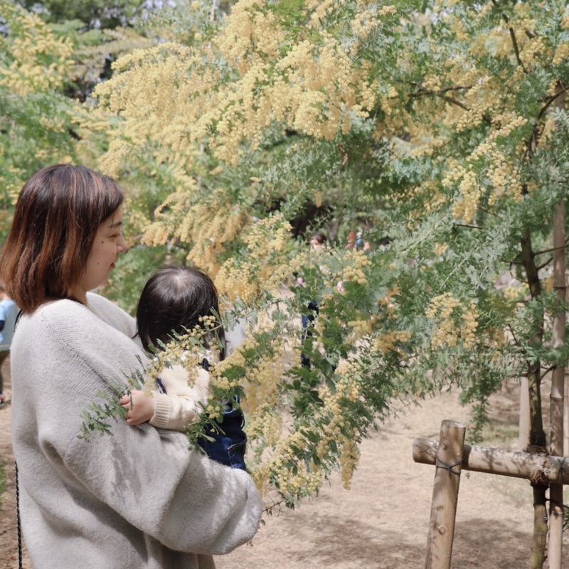 よこやま ちふみ