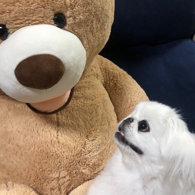 田 中　は る と