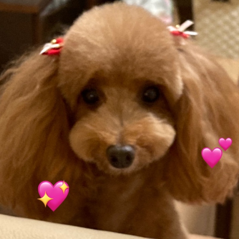 ふくみん