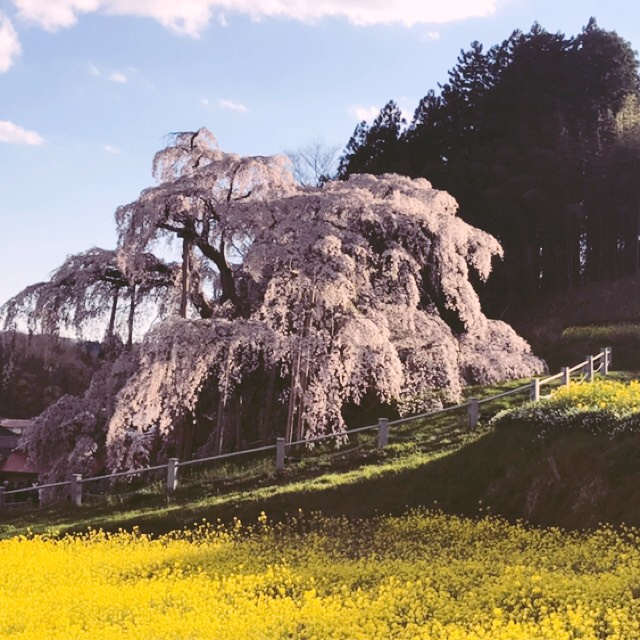 山越港介