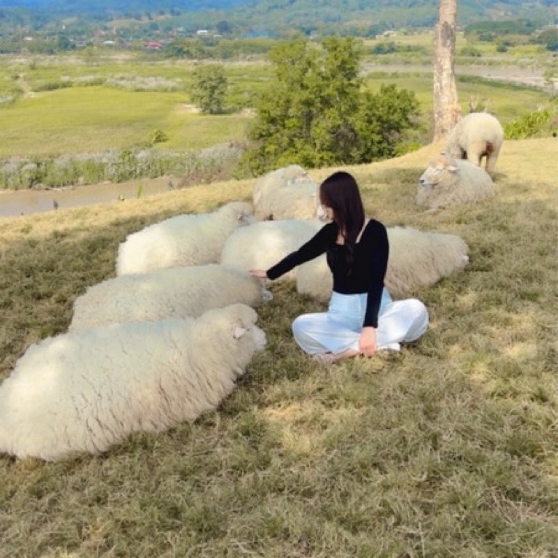หนูนา