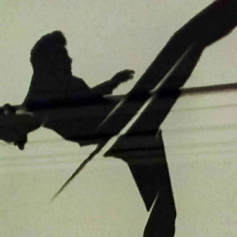 マスカワアキラ