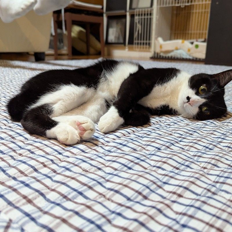 トリヤマ  ミチコ