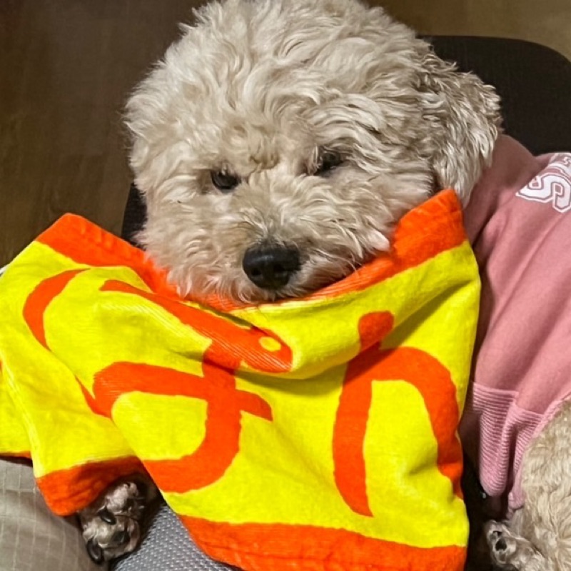 mr.テル