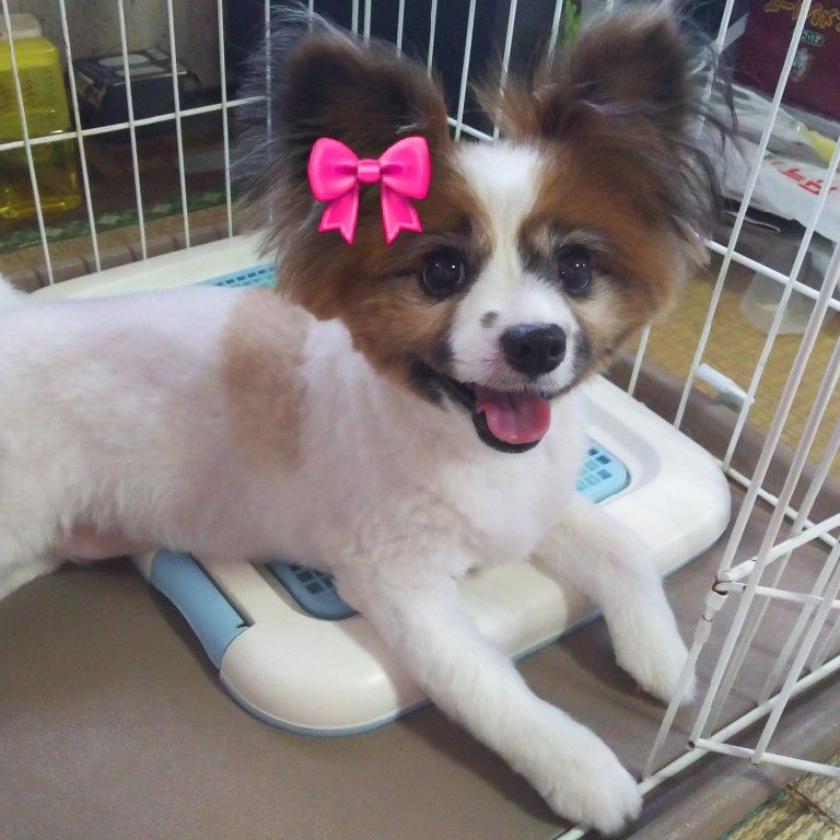 ⭐️ひとみ⭐️