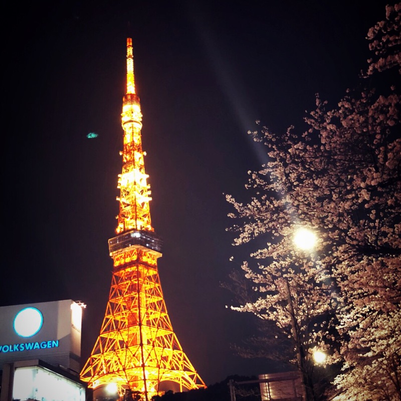 🌟Miyuki🌙Tsukimi🌟