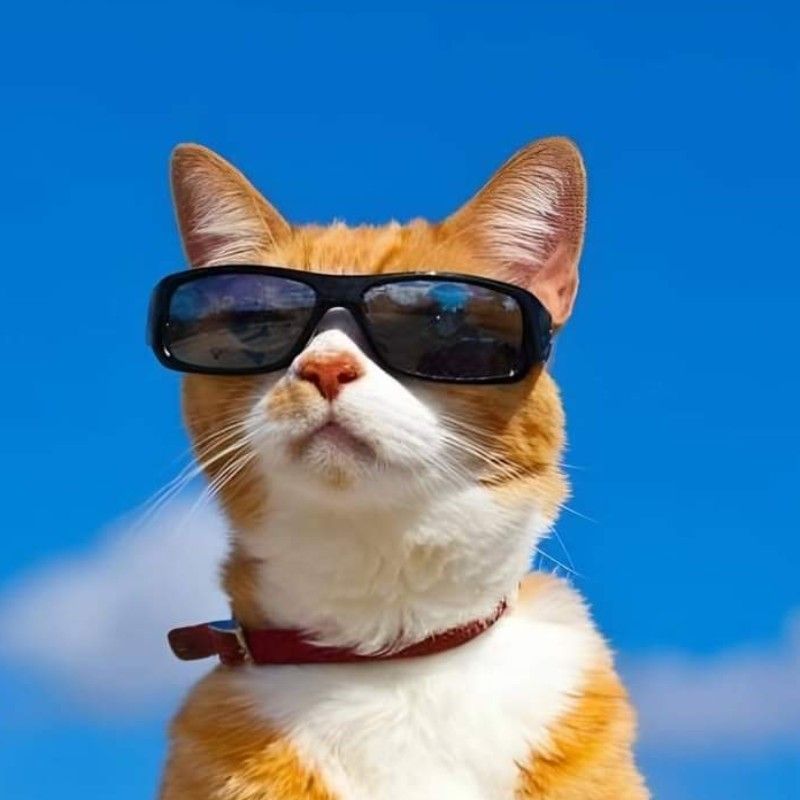 เอ๋