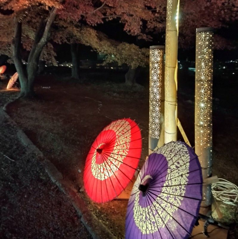 しょーちゃん／福島 翔吾