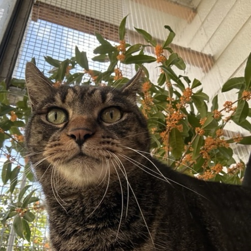 こんどうようすけ