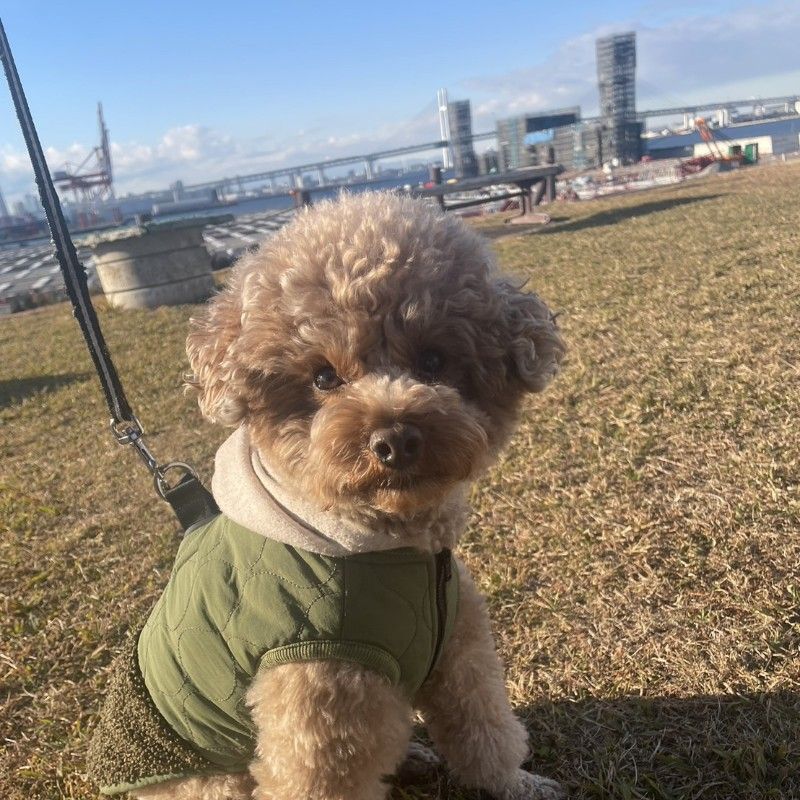 なかにしよしひさ