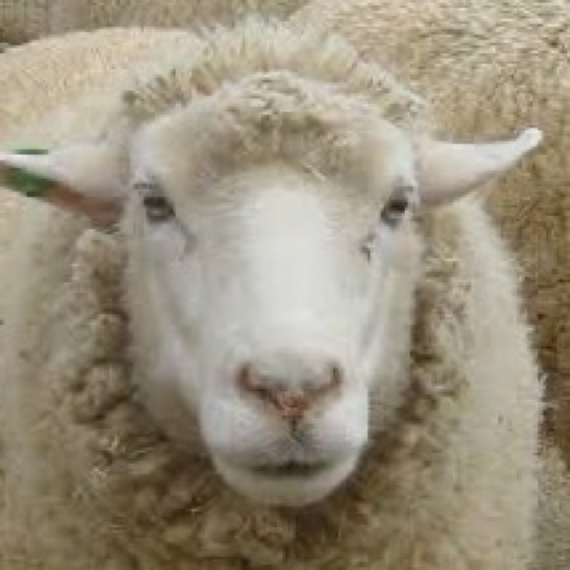 ネオ ユウイチロウ