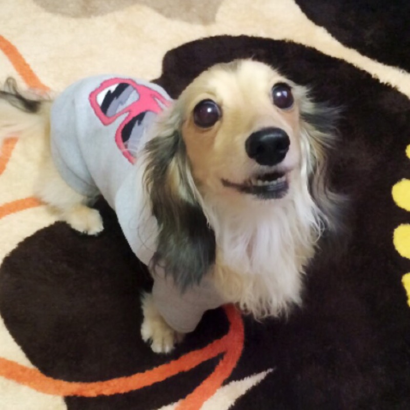 まつもと ちえこ