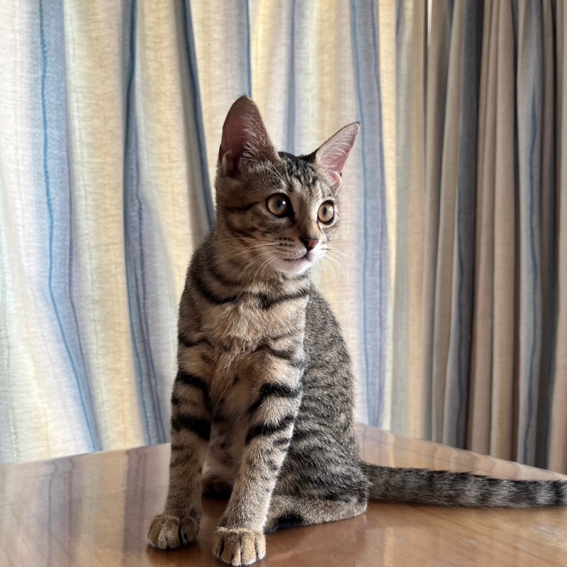 なおこ