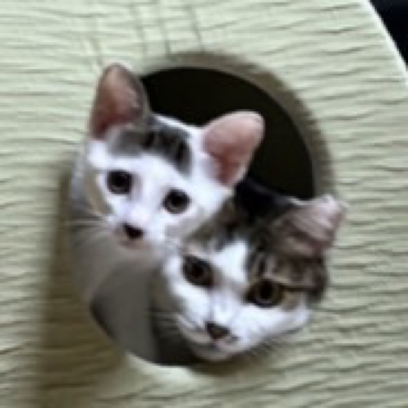 小林正彦🐾🏓