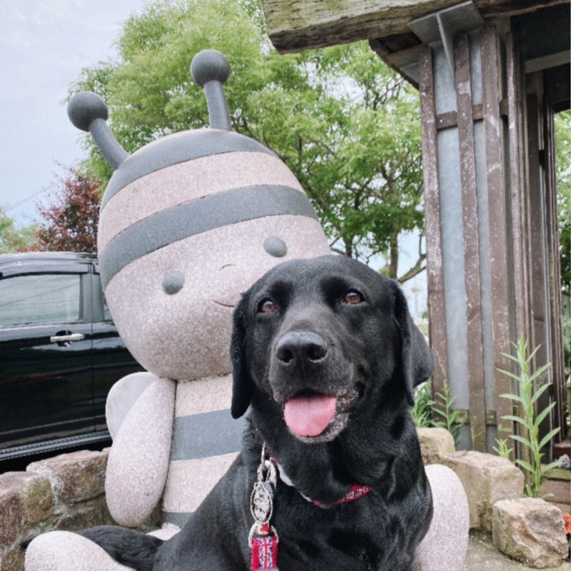 静里花(せりか)