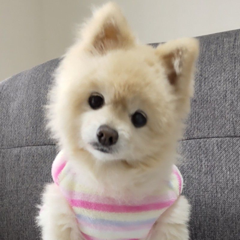 しもやま ☆ megumi☆