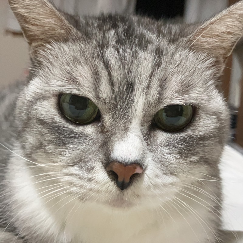 わたなべ　りつこ