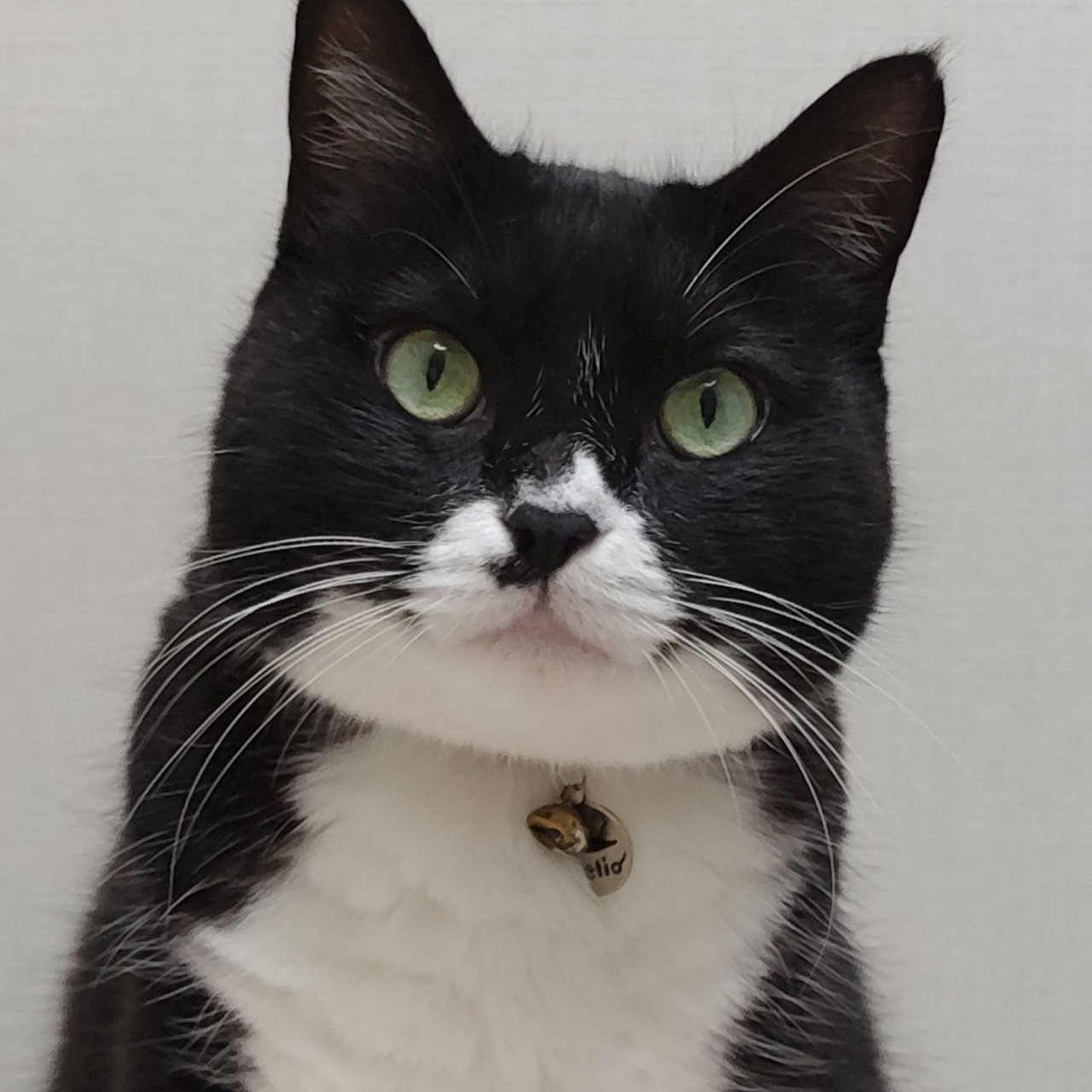 キノピオまなべ