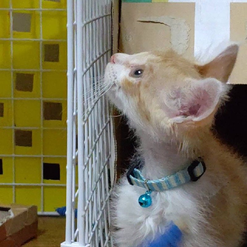 水野　祐希　ミズノ　ユウキ