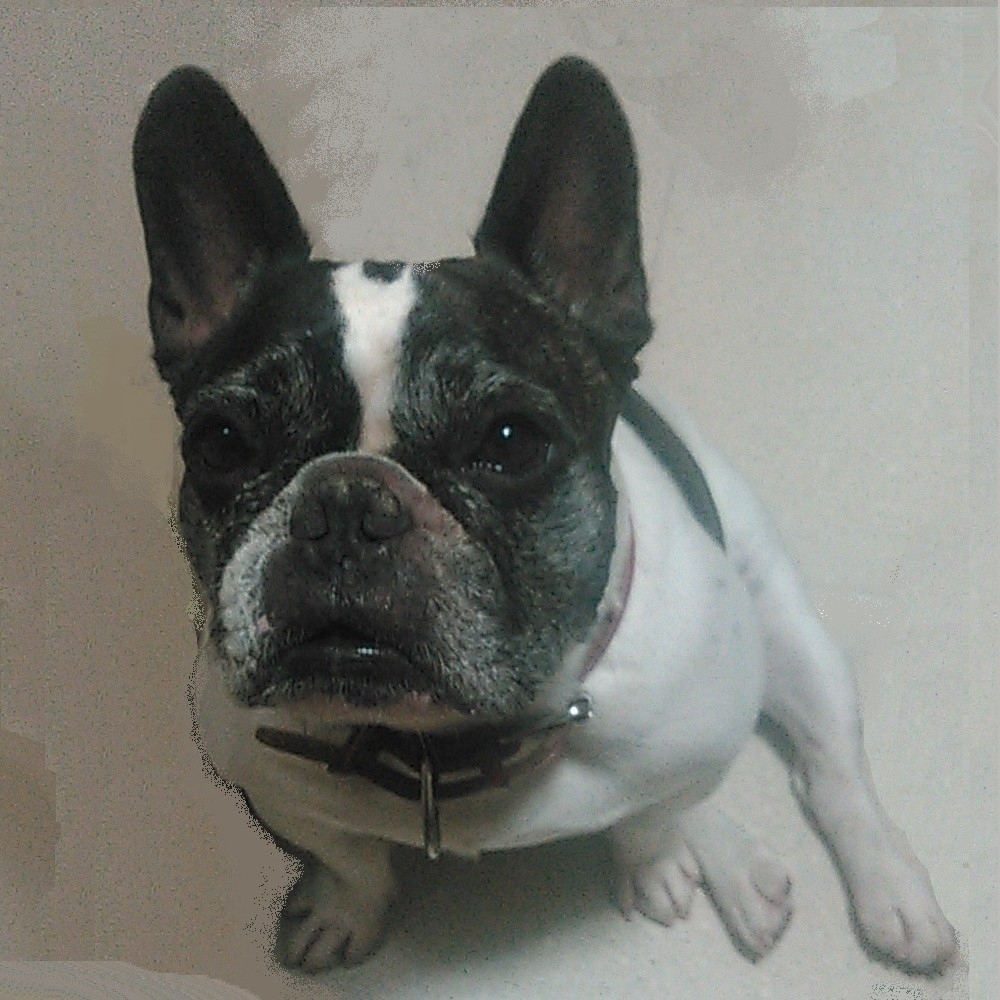 おひとり様のKONNO