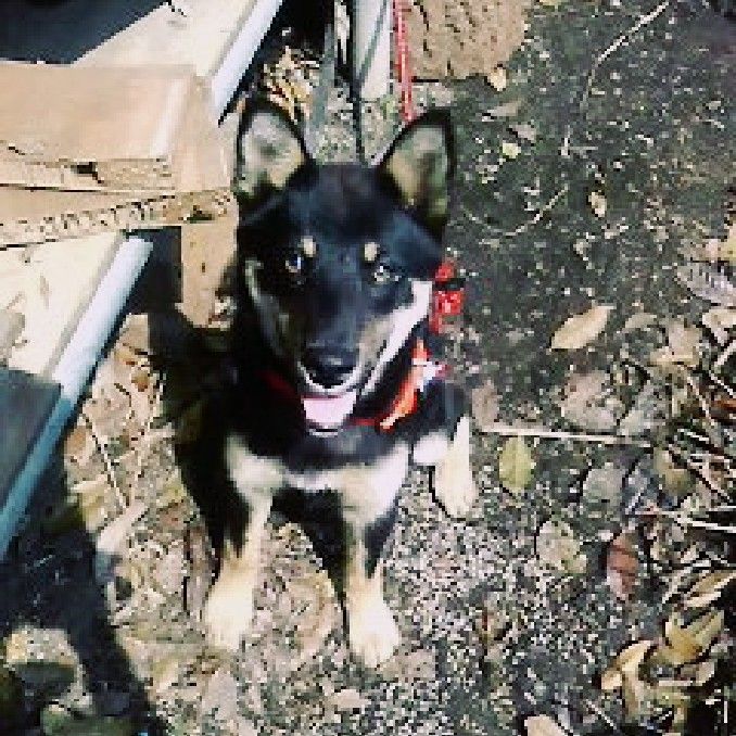 ミヤザキ👾ユミ