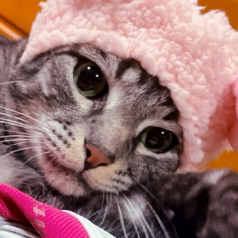 ﾏｴﾀﾞﾐﾗｲ