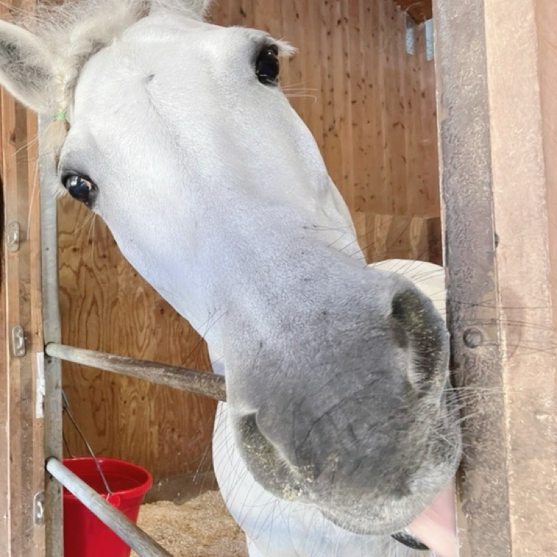 ふくもとひかり