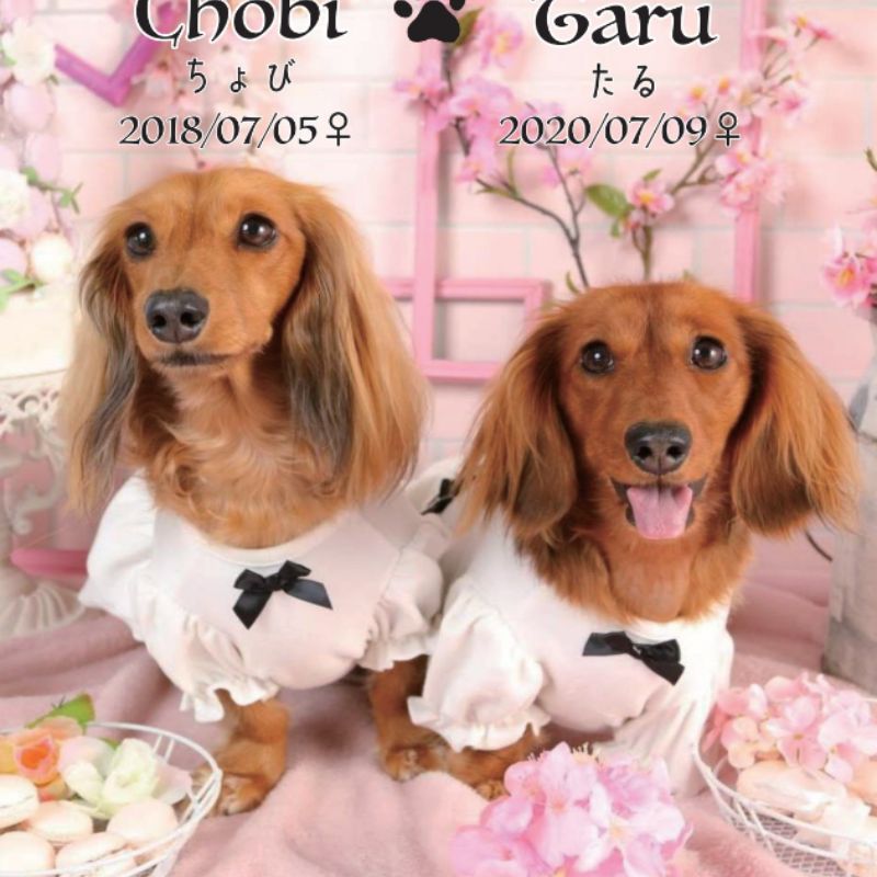 KumikoꕤU• ﻌ •U