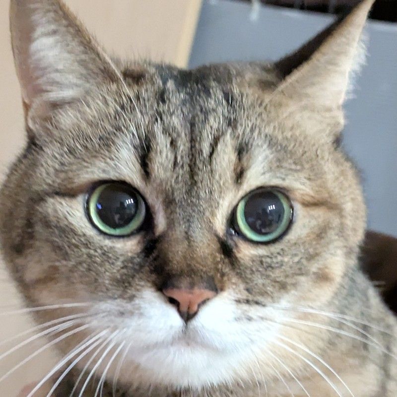 仲村ゆきみ