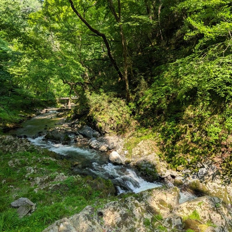 モリ　ノブヒロ