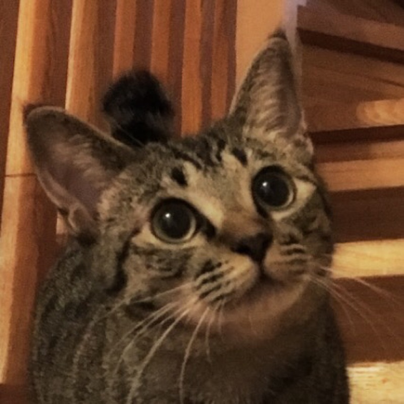 v(・∀・*)yuki♪