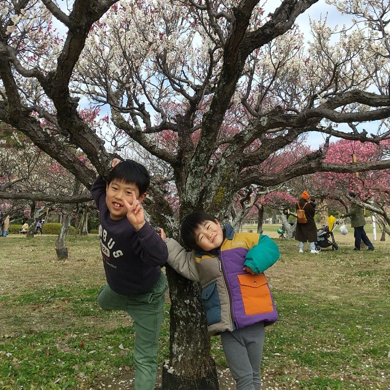 ⭐ふじいともみ⭐