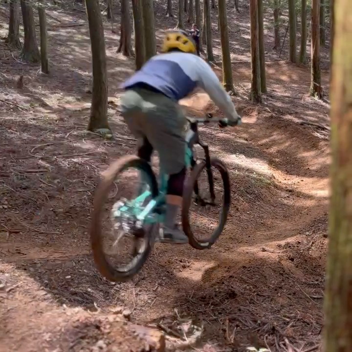 さかもとまさのり