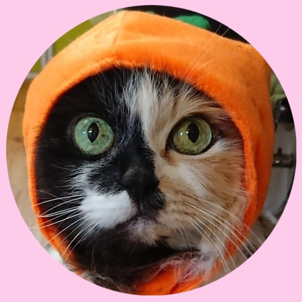 あこの時間【小幸】