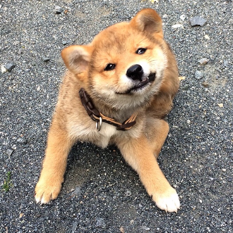 おおえ ともゆき