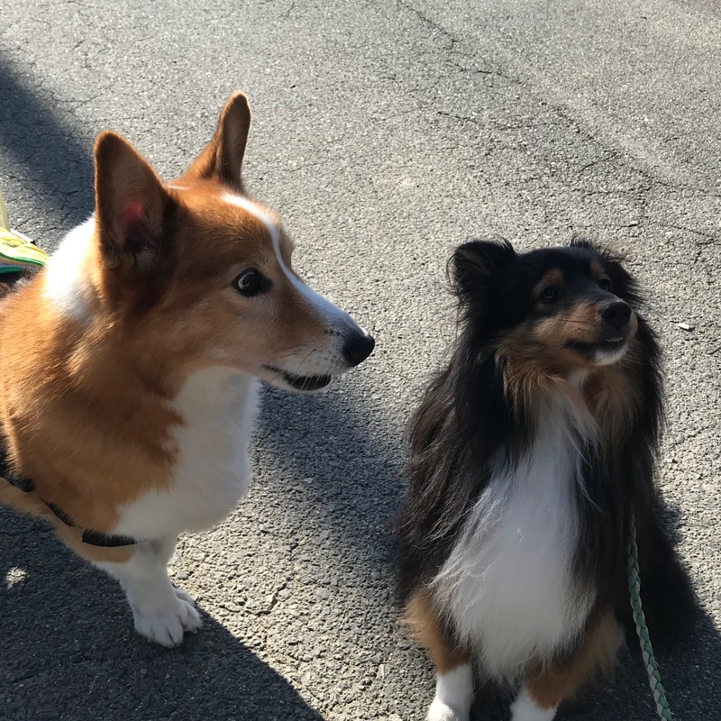 Daisuke Waki(脇大輔)