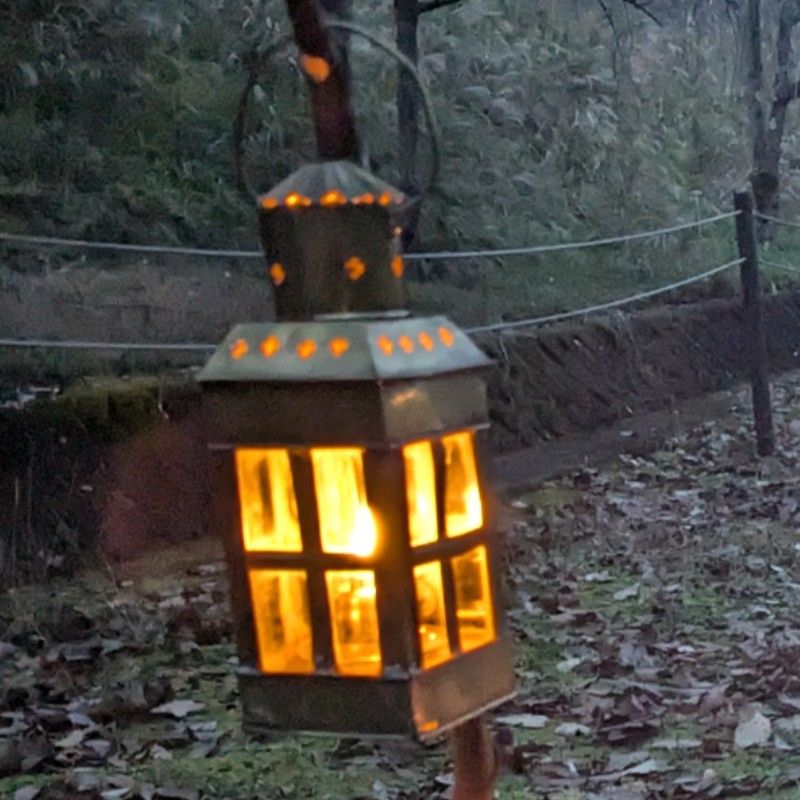 かぼちゃパンプキン