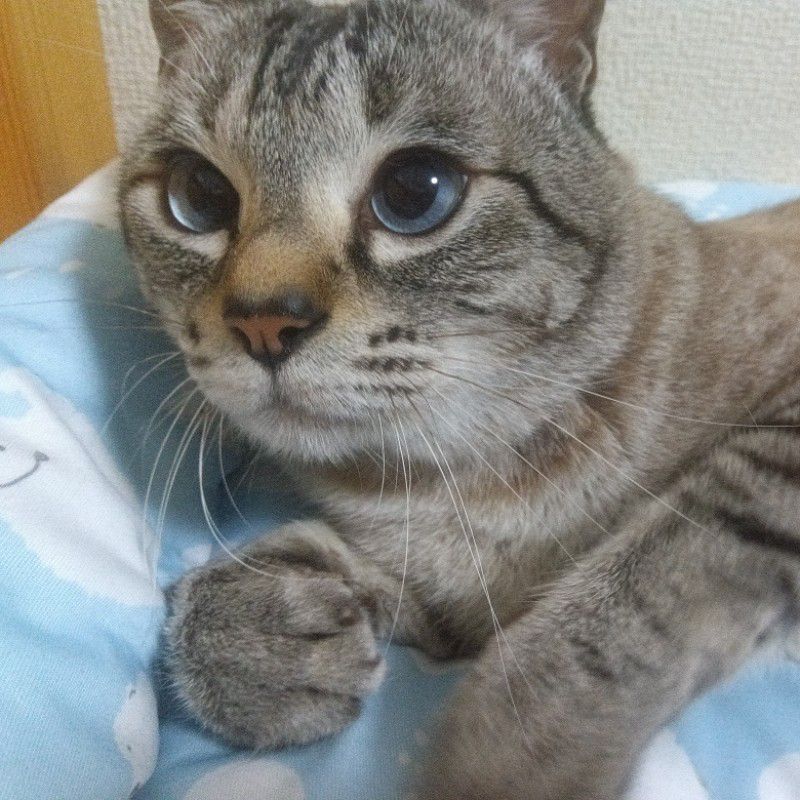 ひがしのりゆき