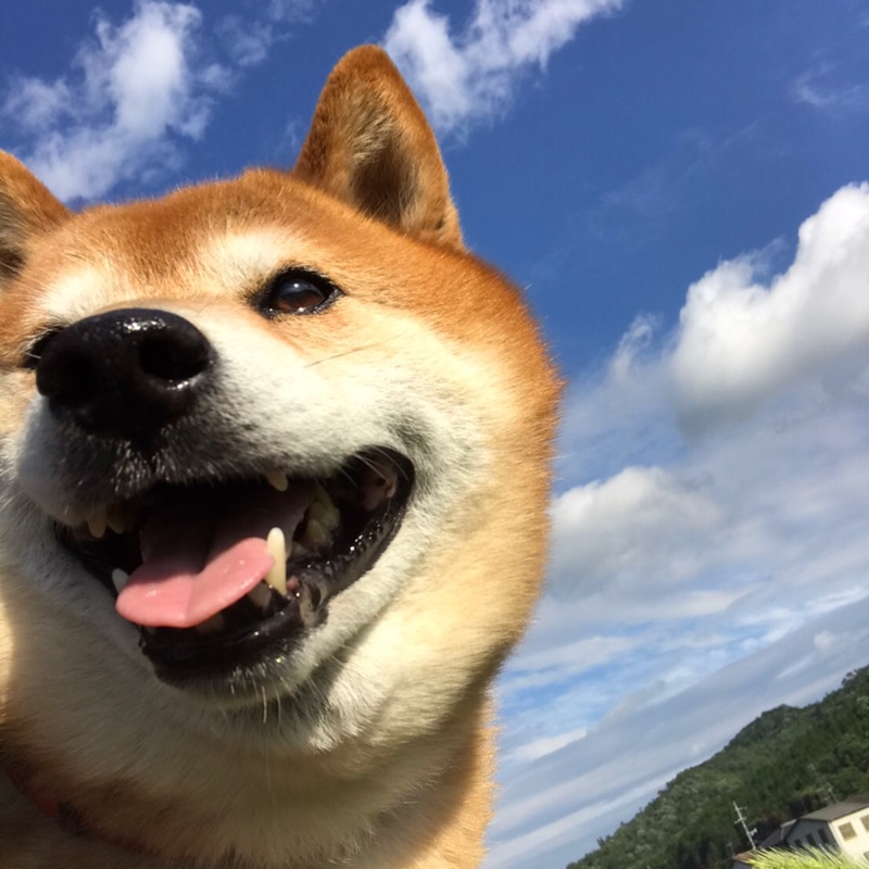 ちか