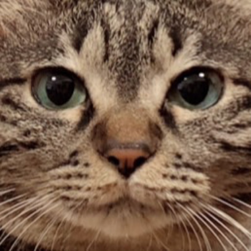 ｸﾘｰﾑﾁｰｽﾞ